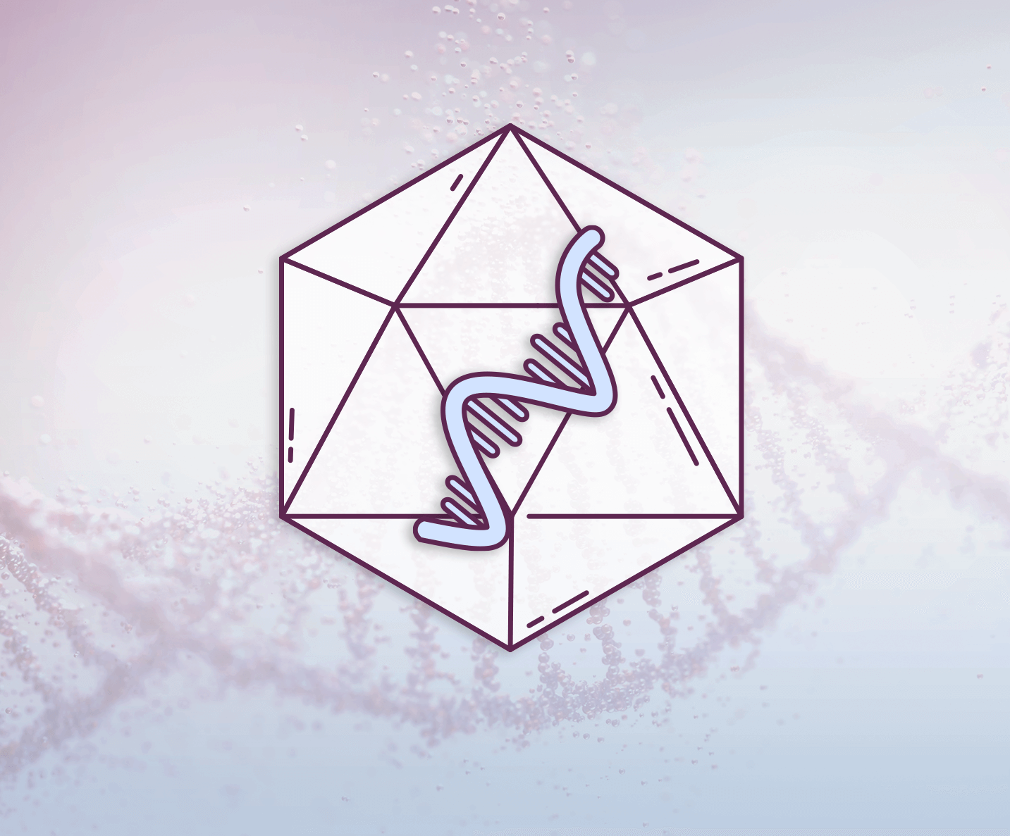 Image of the viral shell and working gene DNA combined to form a therapeutic vector.