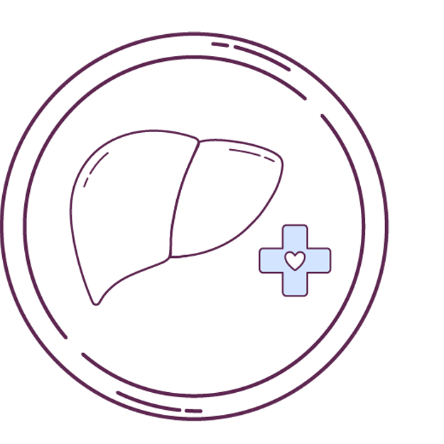 Icon of a liver with plus sign inside of a circle